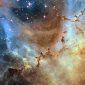 Dust Sculptures of the Rosette Nebula