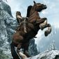 E3 2011: The Elder Scrolls V: Skyrim Gets New Gameplay Video and Screenshots