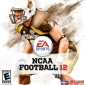 EA Sports and NCAA Are Offering Fellowships for American Football Fans
