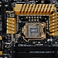ECS Reveals Z77 Black Extreme Golden Limited Edition Motherboards