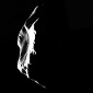 ESA Probe Sends Image of Asteroid Lutetia