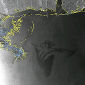 ESA Satellite Images Gulf of Mexico Oil Spill