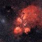 ESO Images Amazing 'Cat's Paw' Nebula