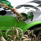EU's Biofuels Industry Not as Sustainable as People Think, WWF Warns