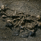Earliest Case of Nuclear Families Discovered