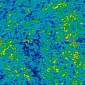 Early Universe May Have Spun on Its Axis