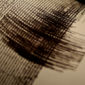 Earthquakes Adversely Affect the Human Brain