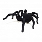 Eerily Lifelike Robot Spider Wants Your Attention: Robugtix T8 – Video