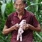 Eight-Legged Piglet Born at a Remote Farm in China