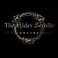 Elder Scrolls Online Gameplay and Introduction Trailer Released