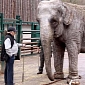Elephant Owners Brought to Court, Accused of Torturing the Animal
