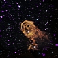 Elephant's Trunk Nebula Revealed in Amazing Composite Image