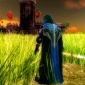 Elven Legacy Gets the First Expansion, Ranger