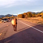 Elk Chases Bike on Highway in Montana, He Is Put Down
