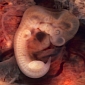 Embryos Are Capable of Genetic Normalization
