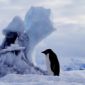 Europe Should Get More Involved in Polar Research