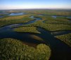 Everglades: Alligators and Crocodiles