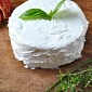 Everlasting Cheese: New Antimicrobial Coating Keeps Cheese Fresh for Longer