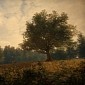 Everybody's Gone to the Rapture Gets Another Gorgeous PS4 Trailer
