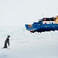 Expedition Trapped in Antarctic Ices Brought Back to Dry Land