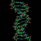 Experts Create 'Propeller' for DNA Strands
