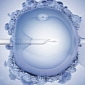 Experts Develop Method to Increase IVF Efficiency