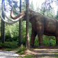 Experts Want to Revive a Mammoth