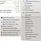 Extend the Dolphin File Manager with KDE-Services 1.7-8