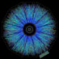 FLAMINGOS-2 Captures Picture of Black Hole 'Nest'