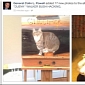 Facebook Account of Colin Powell Hacked
