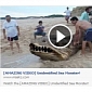 Facebook Scam: Amazing Video of Unidentified Sea Monster