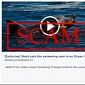 Facebook Scam: Shark Eats the Swimming Man in an Ocean