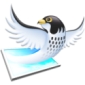 Falcon, a New Web-Based Image Editor