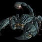 Fallout: New Vegas – NCR, Ghouls and a Queen Radscorpion