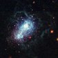 Family Album: Young Galaxies on Film During Growth and Aging