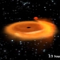 Fastest Star Ever Found Circles a Black Hole in just 2.4 Hours