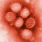 Fighting Influenza on Its Own Territory