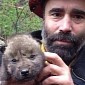 Firefighters Save 5 Alaska Wolf Pups from Abandoned Den