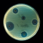 First Antibiotics-Resistant Gonorrhea Strain Found