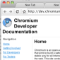 First Ever Screenshots of Chrome for Mac