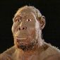 First Humans Were More Ape-Like than Human-Like