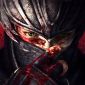 First Ninja Gaiden 3 Details Appear