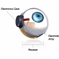 First Retinal Implant Approved by the FDA