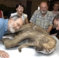 First Tomography of a Well Preserved Baby Mammoth