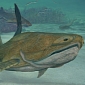 Fish That Lived 419 Million Years Ago Had the World's First Face