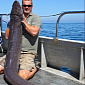 Fisherman Catches 96lb (43 kg) Monster Eel