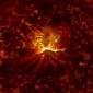 Flares from Powerful Solar Storms Will Shortly Hit Earth