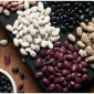 Flatulence-free Beans Developed