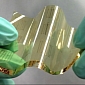 Flexible Electronics Possible with Carbon Nanotubes