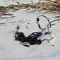 Sand-Crossing Robot Inspired by Sea Turtles Looks More like a Weird Scorpion